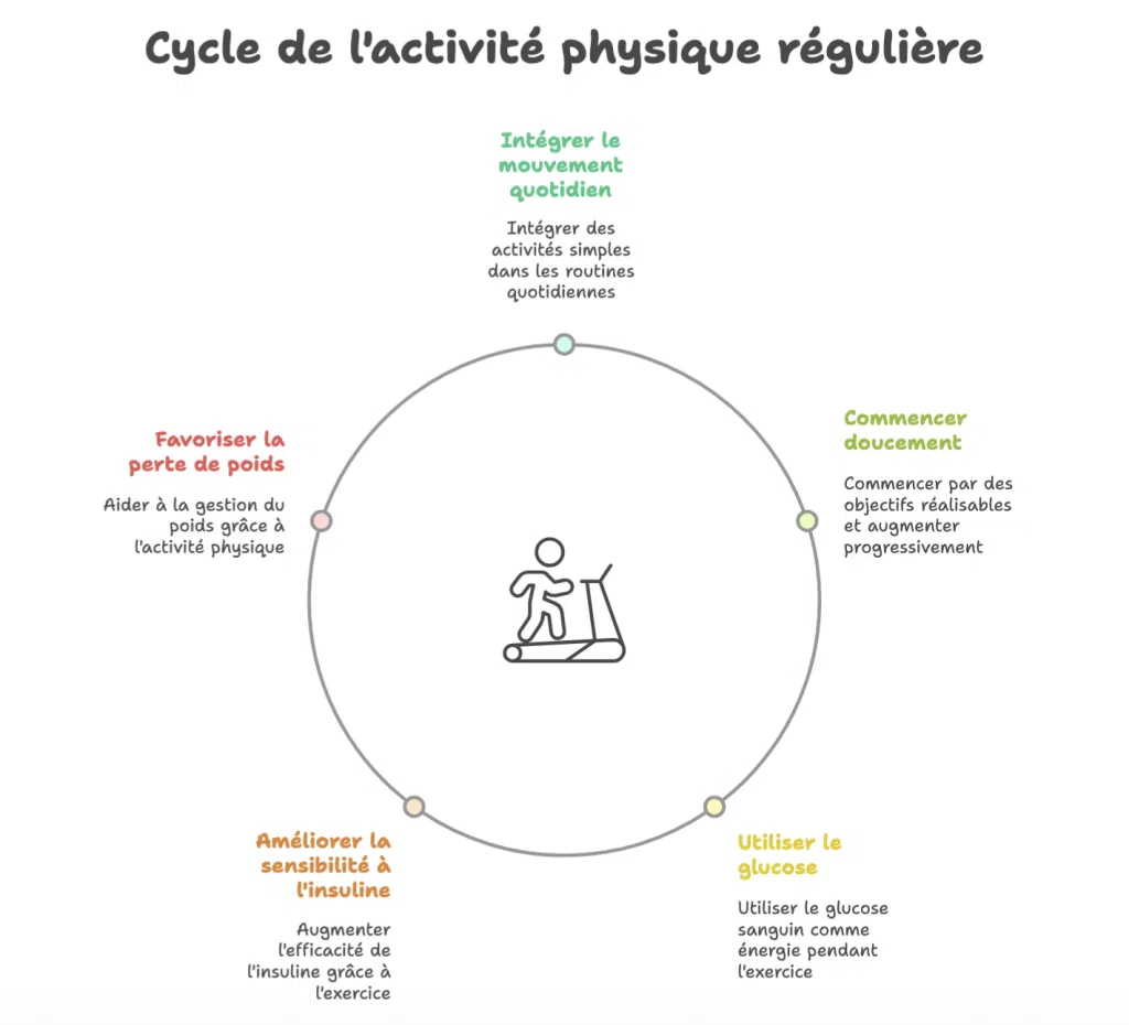 Infographie du cycle de l’activité physique régulière : mouvement quotidien, perte de poids, sensibilité à l’insuline, utilisation du glucose, objectifs progressifs