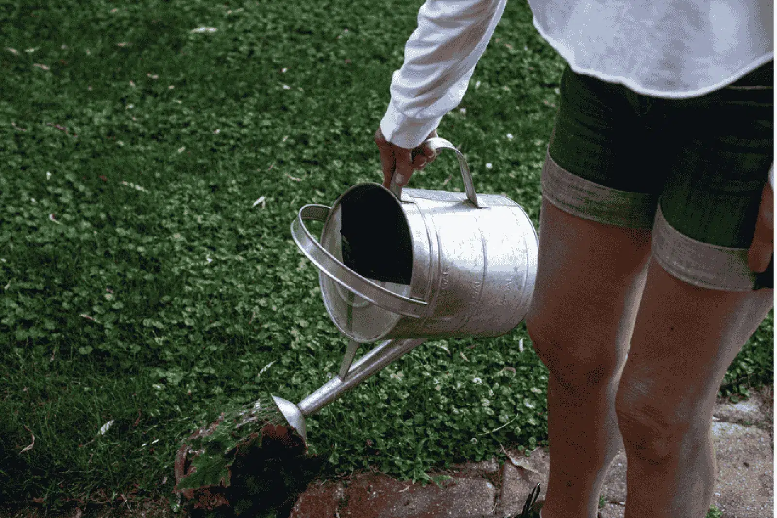 Mouvement naturel et quotidien illustré par l’arrosage d’un jardin serein